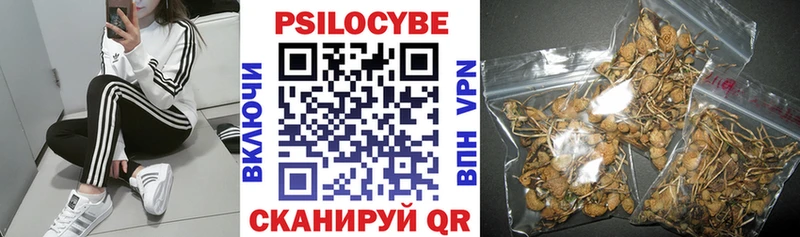 Псилоцибиновые грибы Psilocybe  Чайковский 