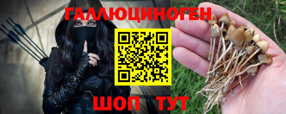 Псилоцибиновые грибы прущие грибы  Вход с VPN  Чайковский 