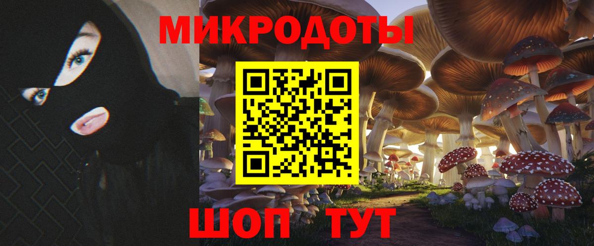 Псилоцибиновые грибы мицелий Чайковский